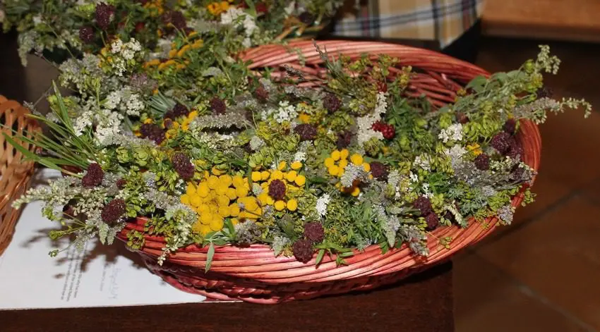 Kräutermesse