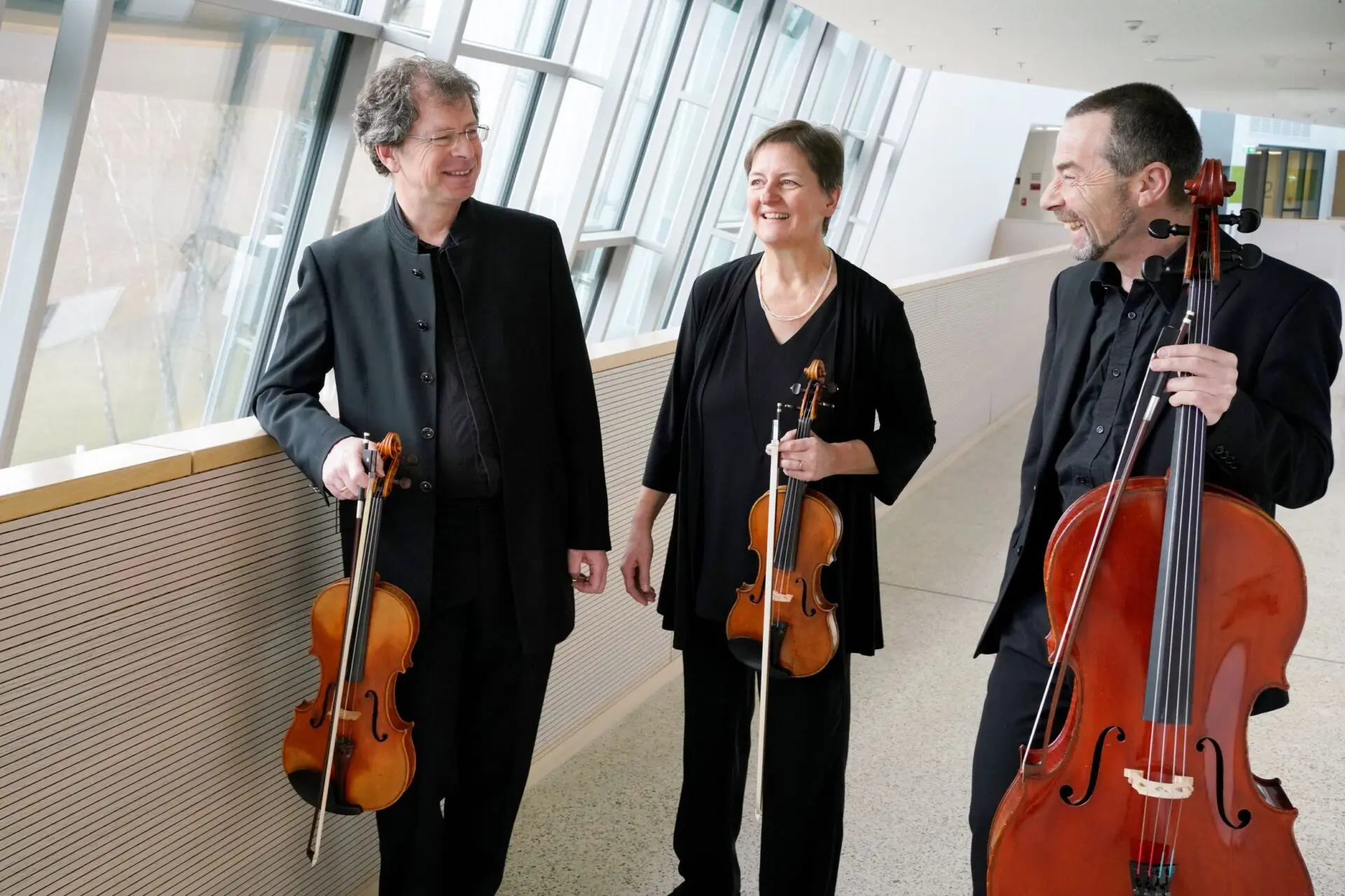 Oberösterreichisches David-Trio