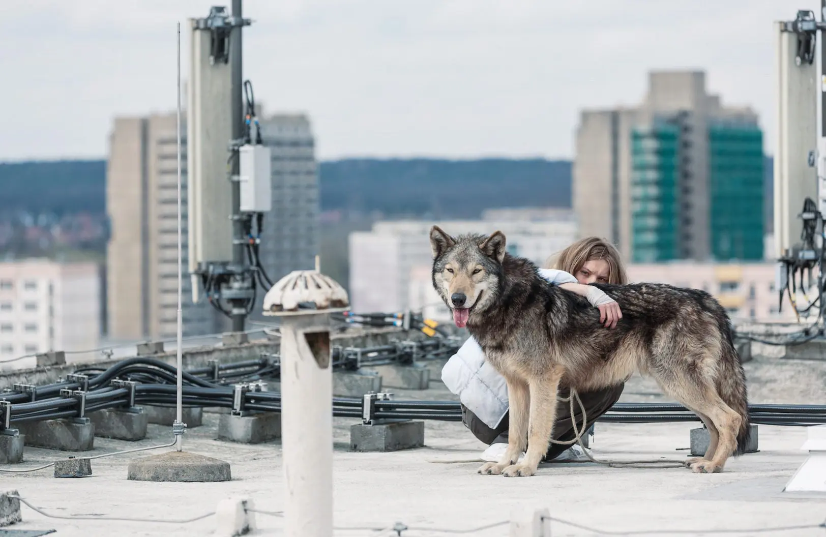 Ronja Räubertochter und Wild - 12.07.2022