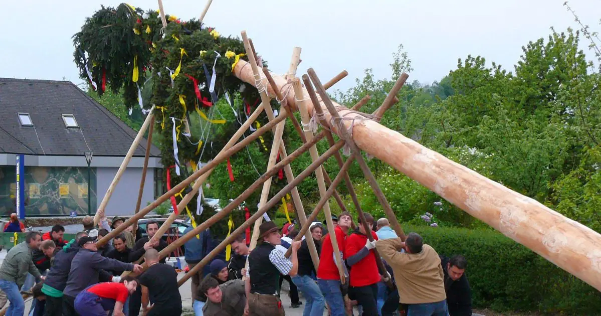 Maibaumaufstellen