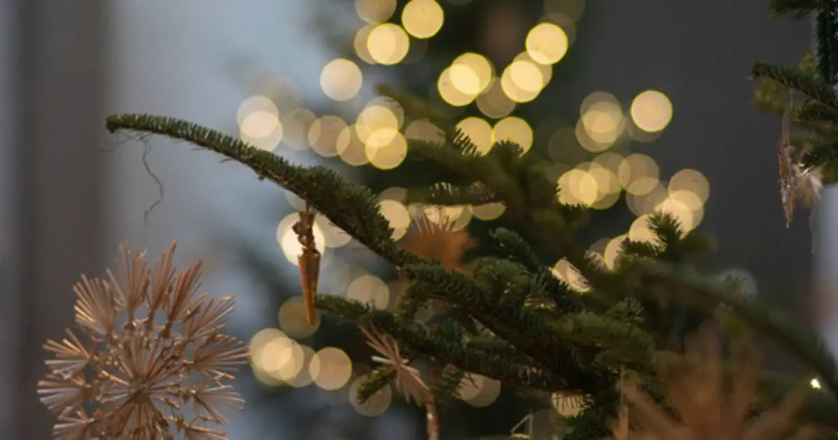 Musikoase im Advent