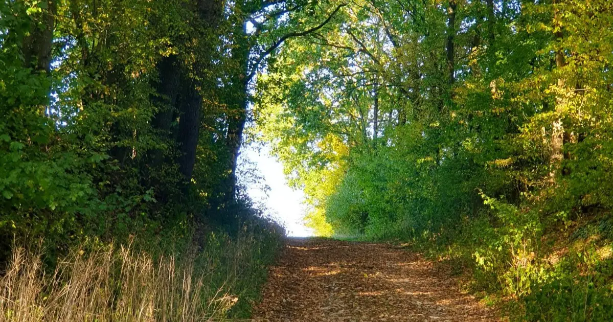 Kapellenwanderung der Pfarre Lambach