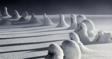 © Wolfgang Mayerhoffer