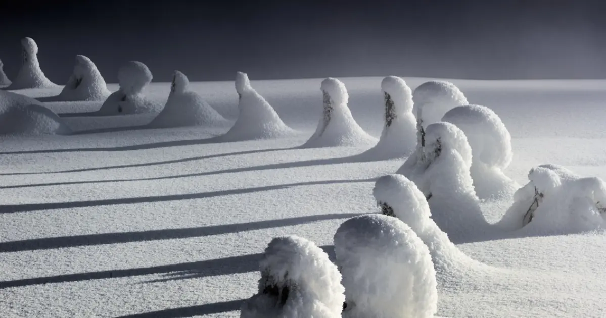 ERÖFFNUNG „Wolfgang Mayerhoffer – Über die Schönheit der Welt“