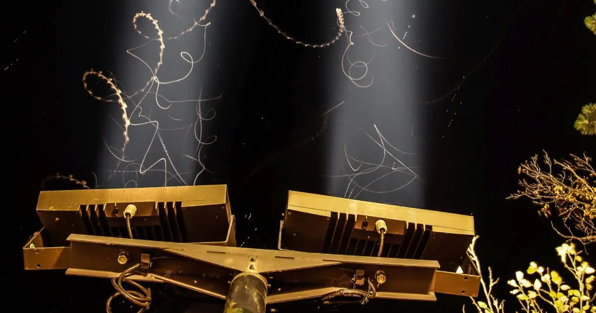 Licht aus, Nacht an – Auswirkungen von zu viel Beleuchtung