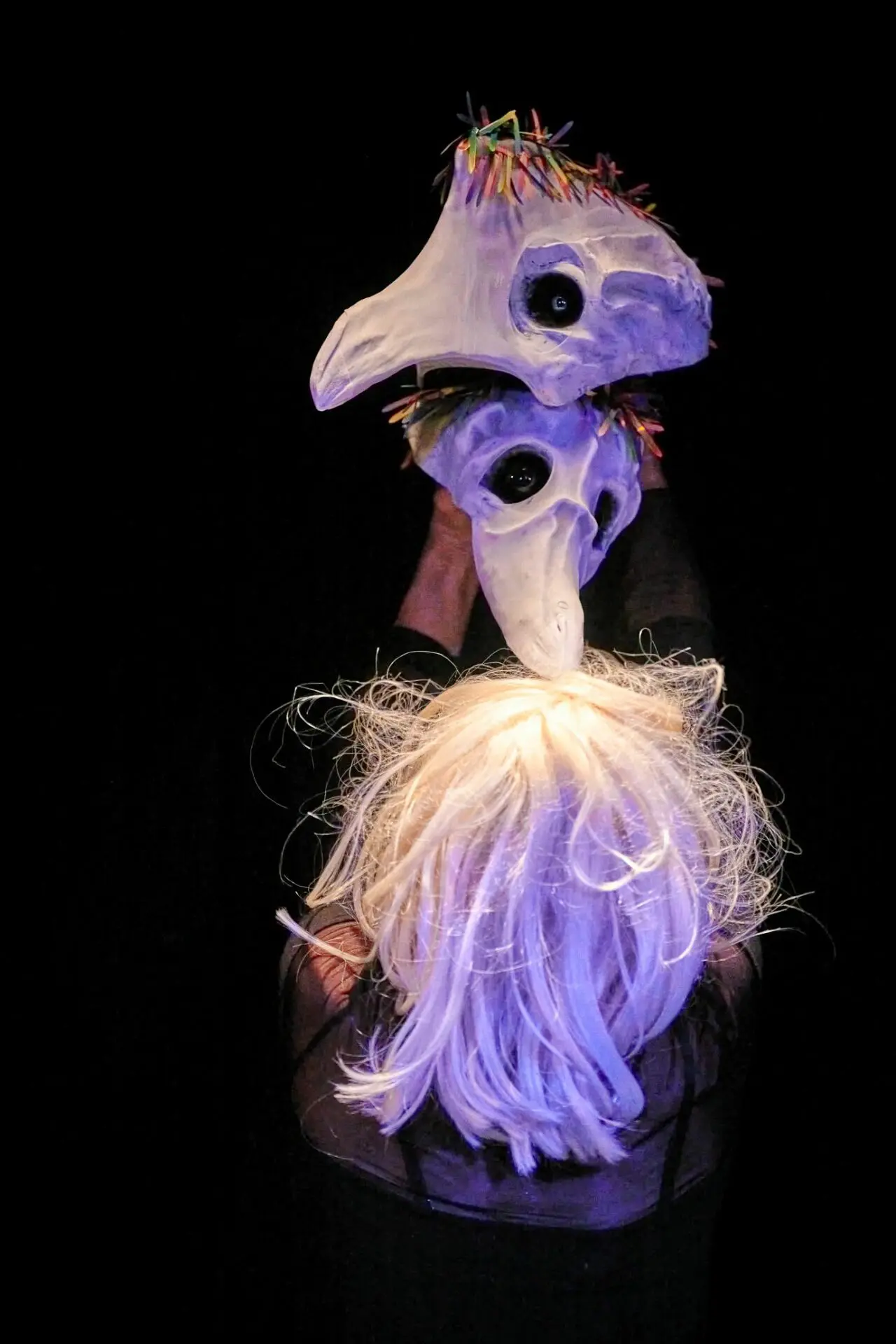 34. Welser Figurentheaterfestival | Wild Beauties