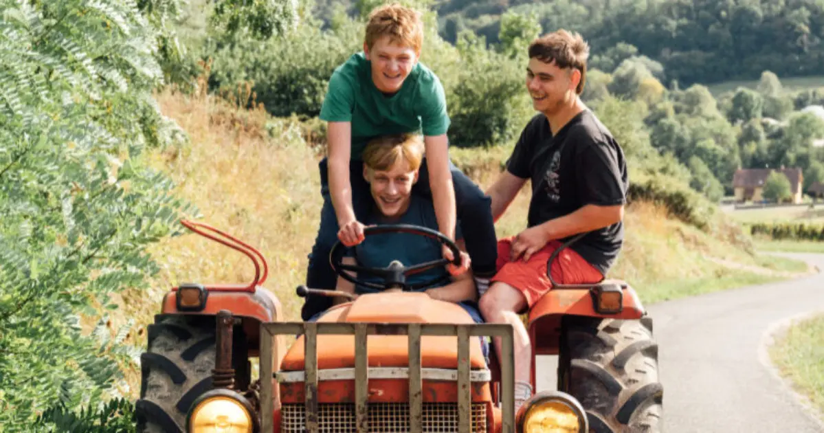 Film und Käse: Könige des Sommers