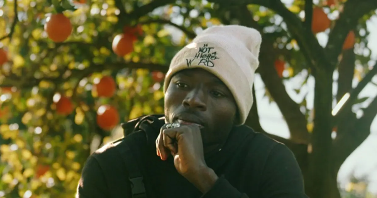 BITTERE ORANGEN - BITTERE FRÜCHTE