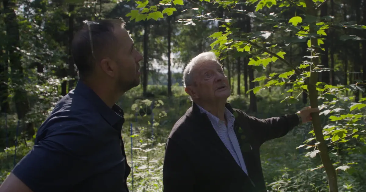 Nur der Wald ist geblieben