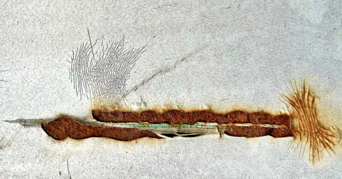 Involuntary Painting