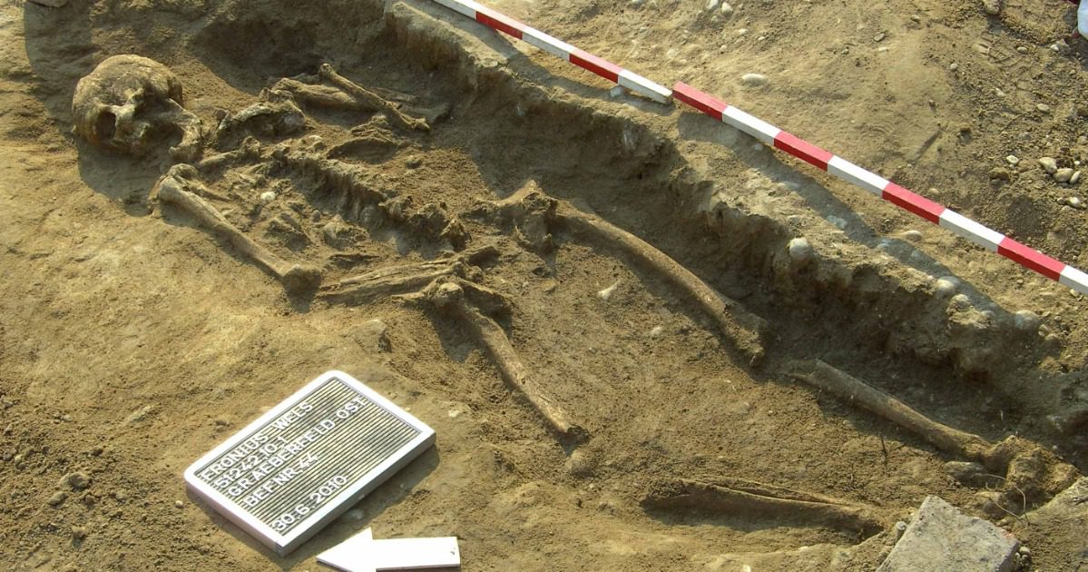 Dem Tod auf der Spur