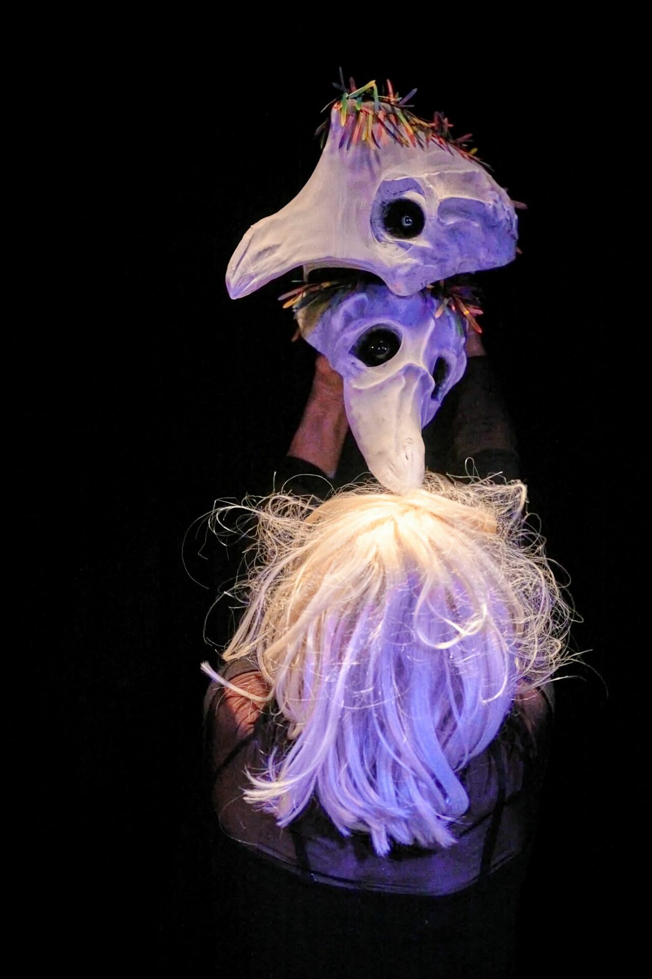 34. Welser Figurentheaterfestival | Wild Beauties