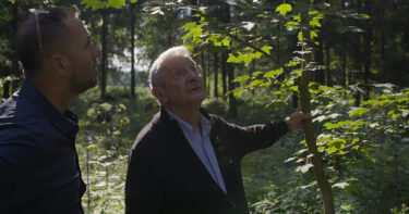 Hans Seebacher, Tobias Hochstöger